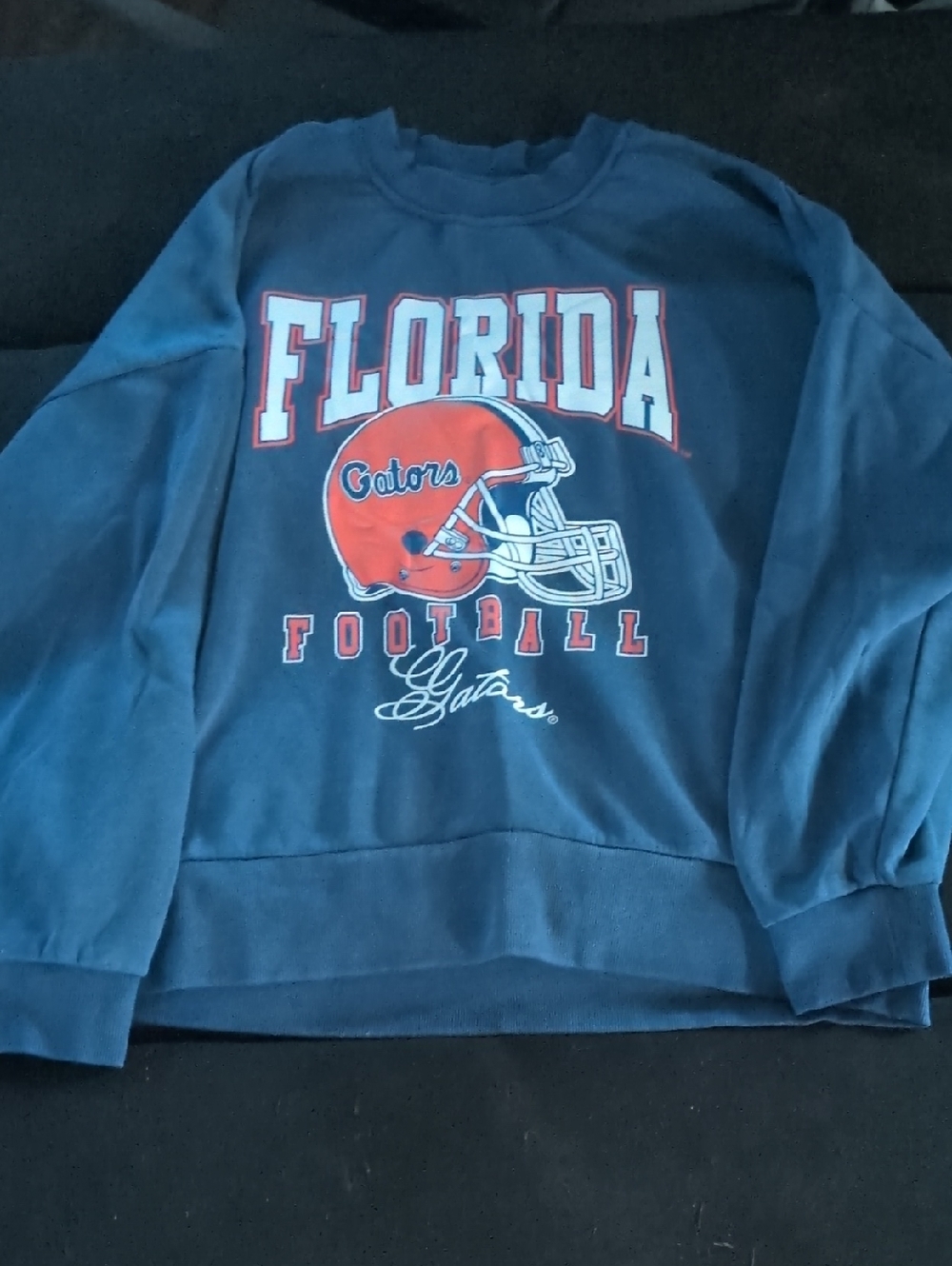 Florida Gators Blue Graphic Sweatshirt